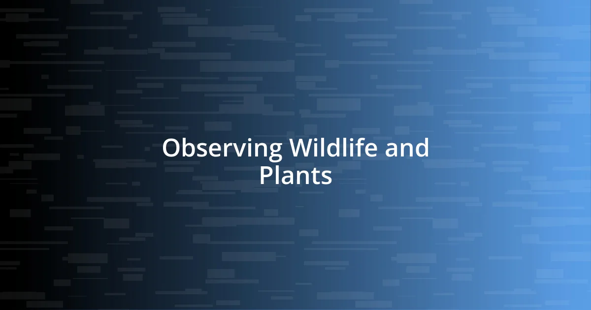 Observing Wildlife and Plants